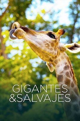 Gigantes y salvajes BDrip MP4 Castellano T1