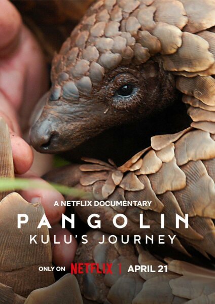 Pangolín: El viaje de Kulu BDrip XviD Castellano