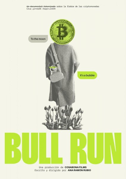 Bull Run BDrip XviD Castellano