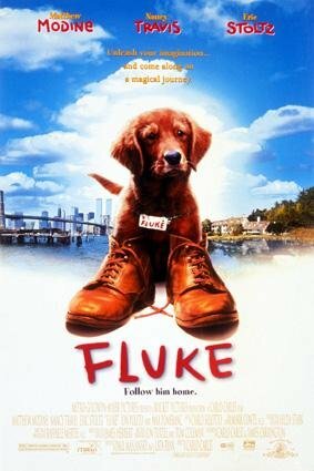 Mi Amigo Fluke (1995) DVDrip