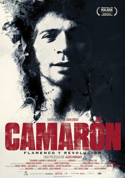 Camarón: Flamenco y revolución BDrip XviD Castellano