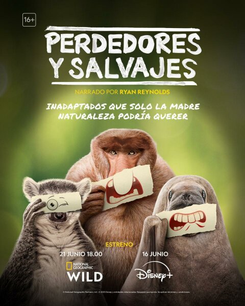 Perdedores y salvajes T1