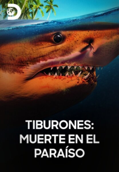 Tiburones: muerte en el paraíso BDrip XviD Castellano