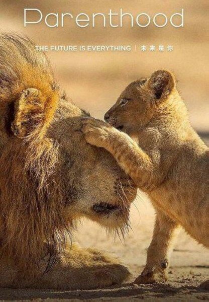 Parenthood T1