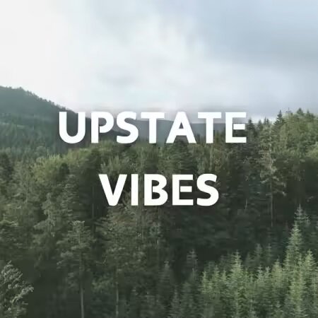 Various Artists - Upstate Vibes (2025) Mp3 320Kbps