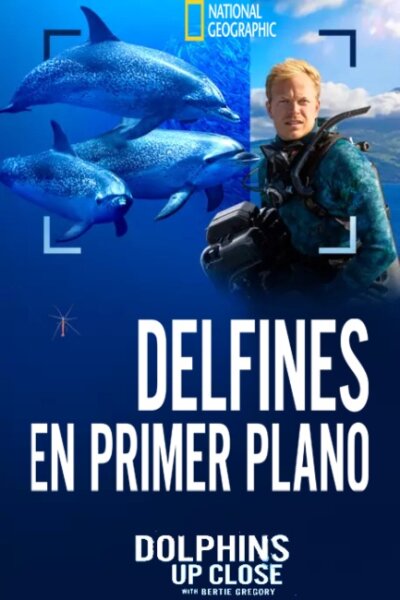 Delfines en primer plano con Bertie Gregory BDrip XviD Castellano