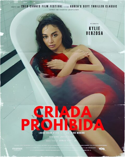 Criada Prohibida (The Housemaid) BDrip XviD Latino