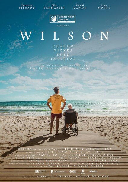 Wilson BDrip MP4 Castellano