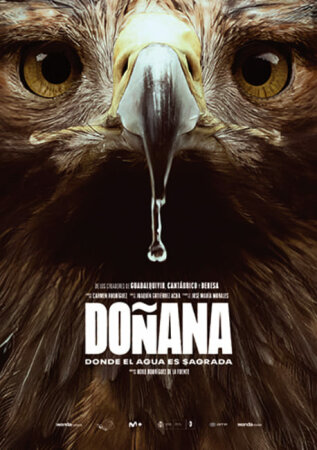 Doñana BDrip XviD Castellano