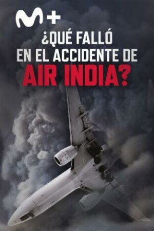¿Qué falló en el accidente de Air India? BDrip XviD Castellano