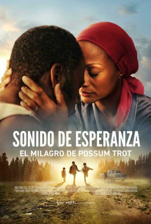 Sonido de esperanza BDrip XviD Castellano