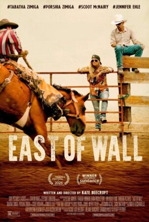 Más allá de Wall BDrip XviD Castellano