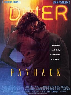 Payback (1995 Thriller) DVDrip