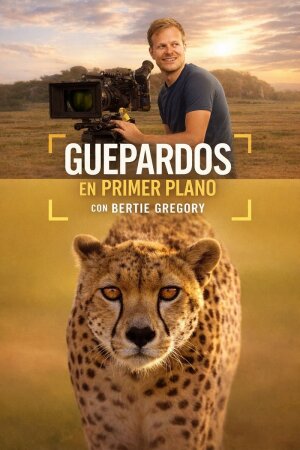 Guepardos en primer plano con Bertie Gregory BDrip XviD Castellano