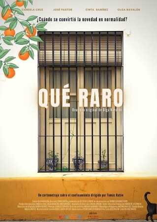 Qué raro BDrip MP4 Castellano