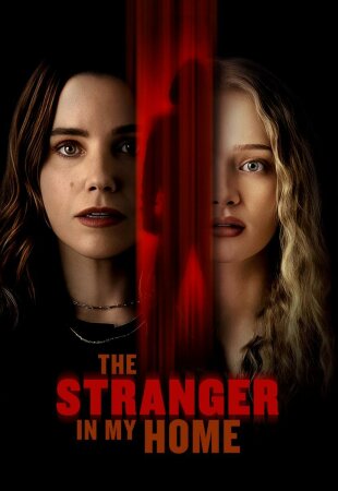 The Stranger in My Home BDrip XviD Castellano