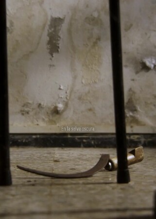 En la selva oscura BDrip MP4 Castellano