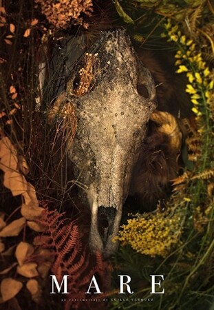 Mare BDrip XviD Castellano