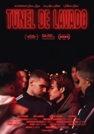 Túnel de lavado BDrip XviD Castellano