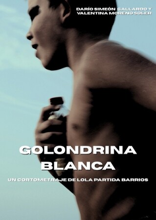 Golondrina blanca BDrip MP4 Castellano