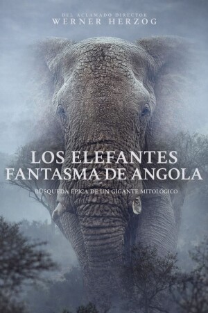 Los elefantes fantasma de Angola BDrip XviD Castellano